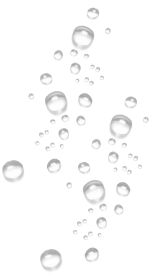 Customer Care Service