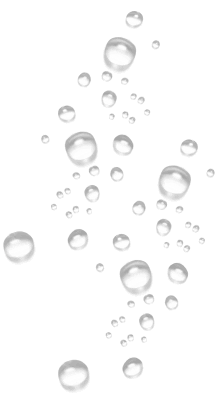 Customer Care Service