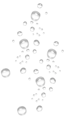 Customer Care Service